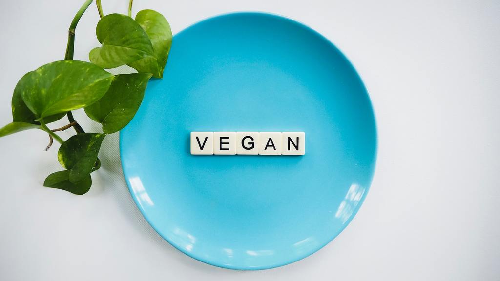 Vegan explained